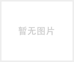 原装频闪灯